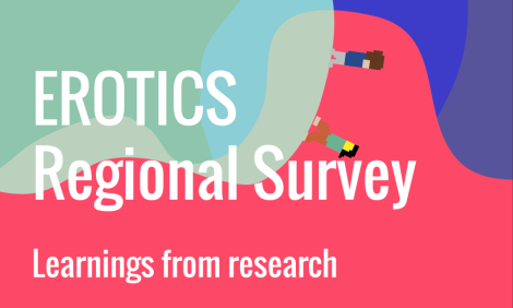 EROTICS regional survey - Learnings from research 