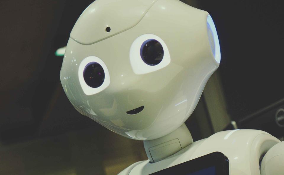 Image description: The curious face of a robot looking back 