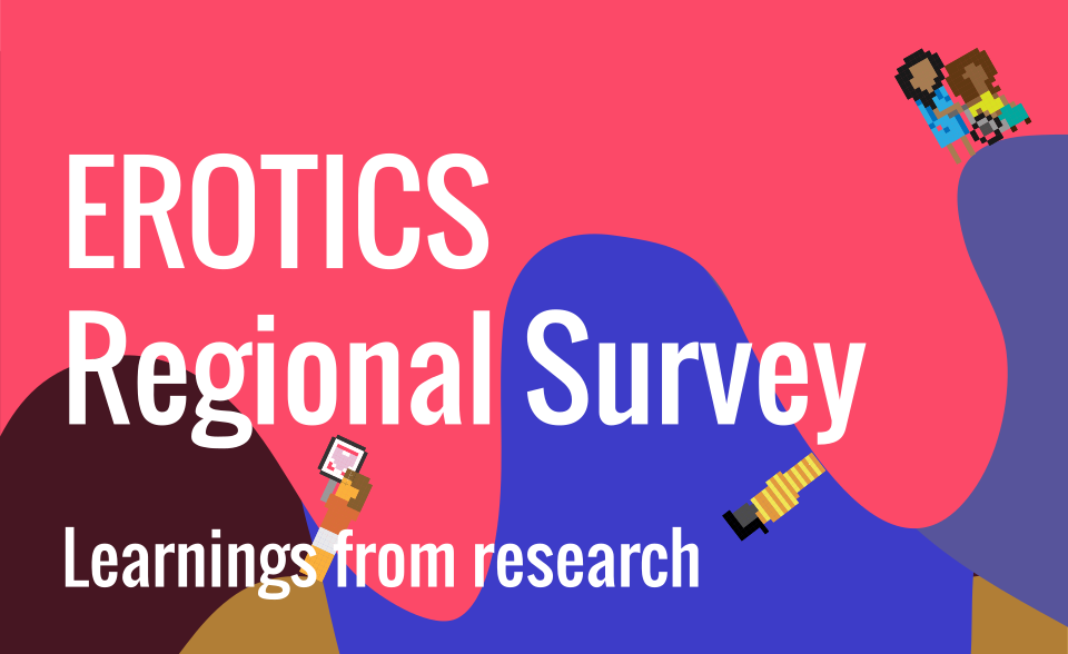 EROTICS regional survey Learnings from research