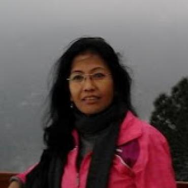 Profile picture for user Ninglun Hanghal